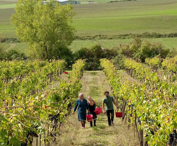 Agritourism in Zakynthos