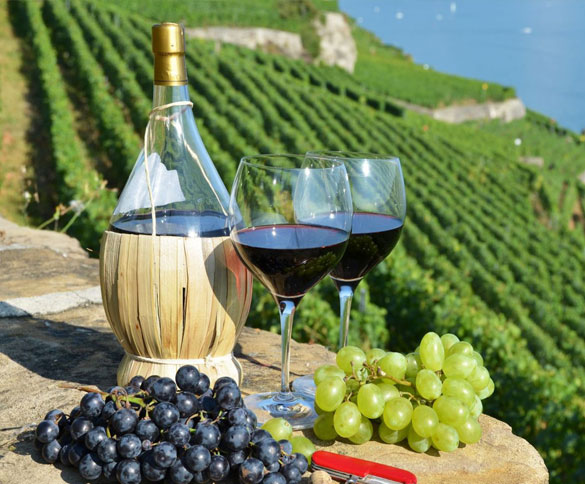 Wine Tasting and Winery Tours in Zakynthos